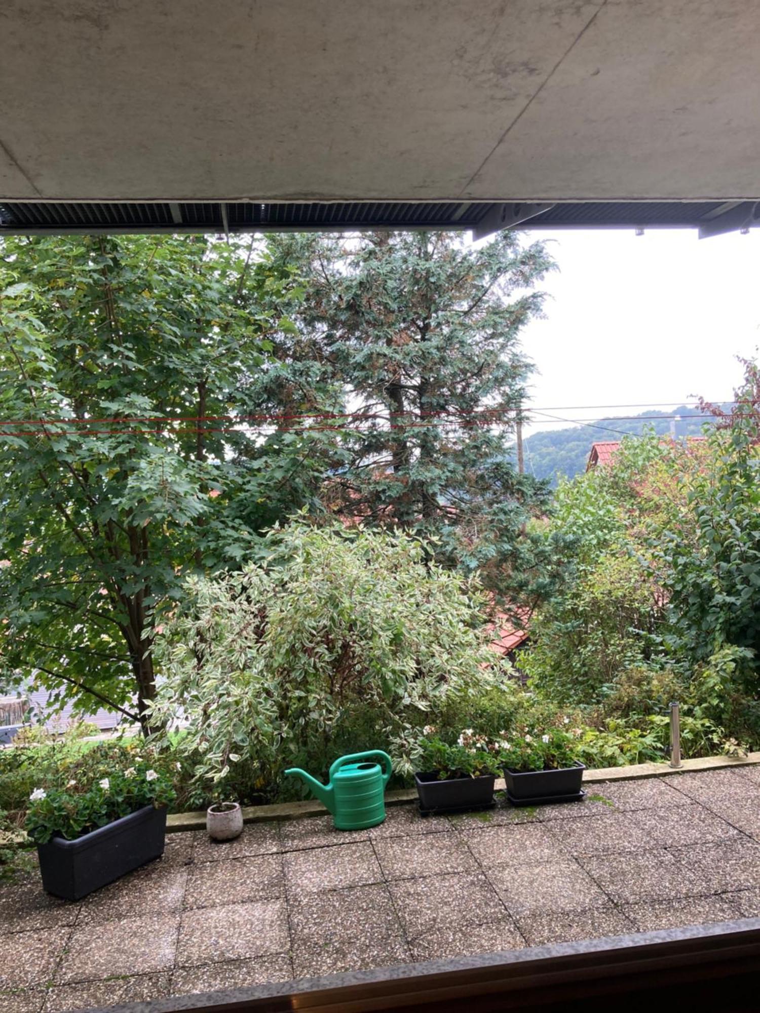 Lichtdurchflutete Ferienwohnung Sankt Johann  Esterno foto